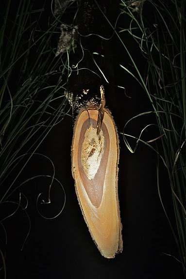 BittenZuTisch_09