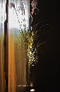 BittenZuTisch_07
