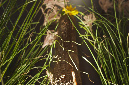 BittenZuTisch_11