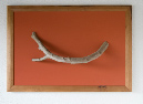 Bewegung_Ballett2