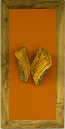 Natur_Schmetteling1