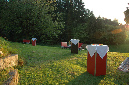 Sommernachtsfest_03